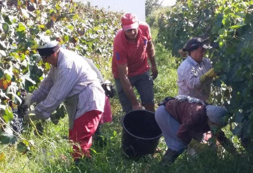 호텔 Masseria Tenuta Flora Maria