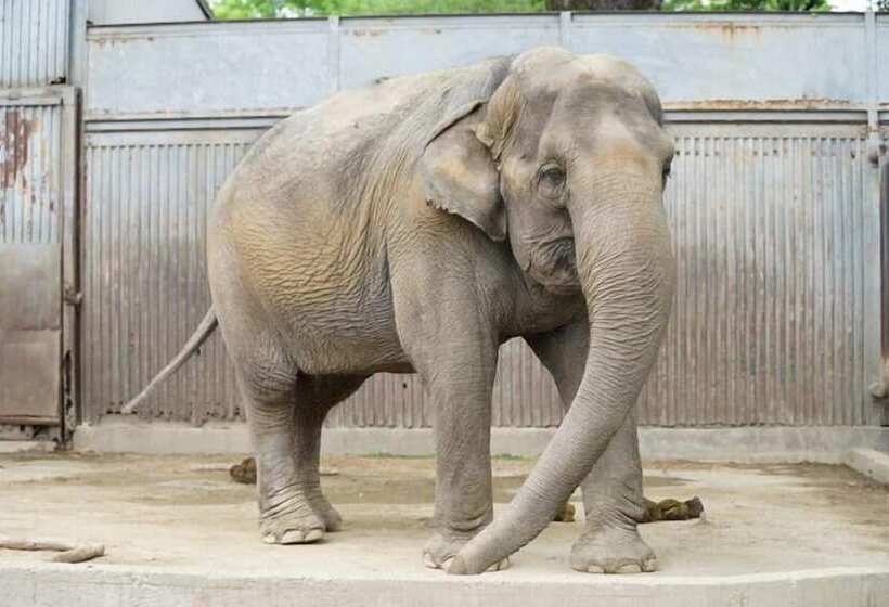 Richmond Hotel Utsunomiya Ekimae