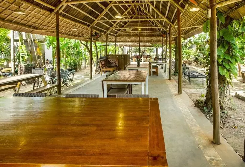 پانسیون Mr Tho Garden Villas