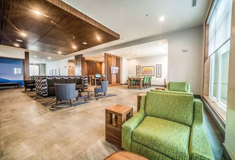 ホテル Holiday Inn Express & Suites   West Edmonton Mall Area, An Ihg