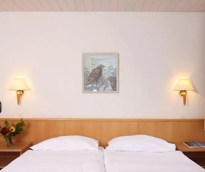 Hotel Oberland