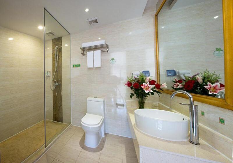 Vienna Hotel Heyuan High Tech Yi Road