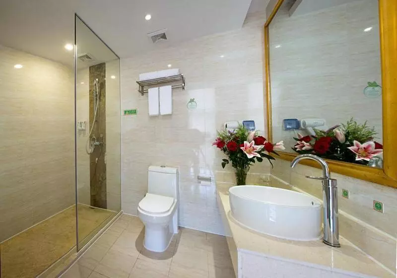 Vienna Hotel Heyuan High Tech Yi Road