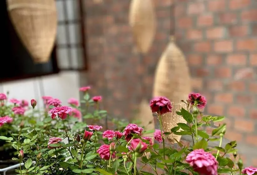 هاستل Okra Hoian