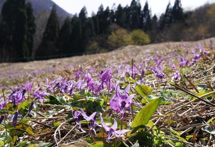 Hotel Abest Hakuba Resort