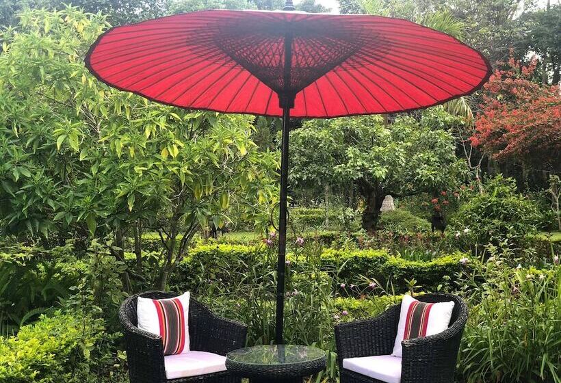 هتل Amara Mountain Resort