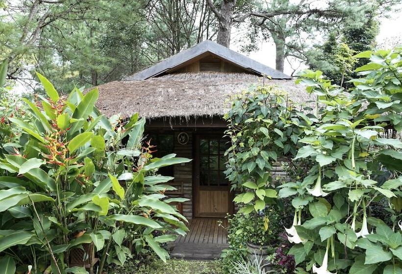 هتل Amara Mountain Resort