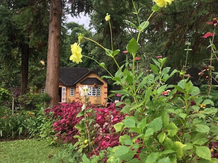 هتل Amara Mountain Resort