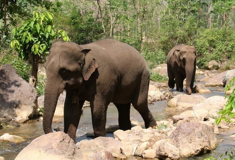 هتل Amara Mountain Resort