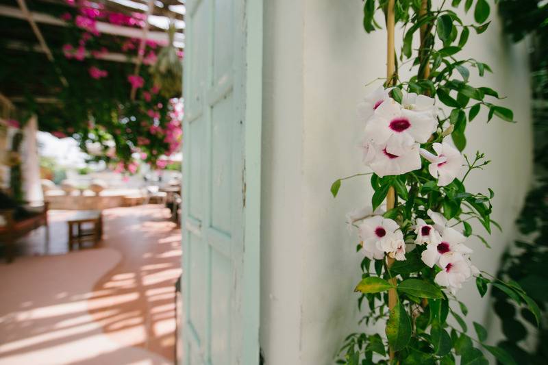 فندق Gorgona Studios