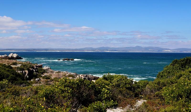 פנסיון Hermanus Boutique Guest House