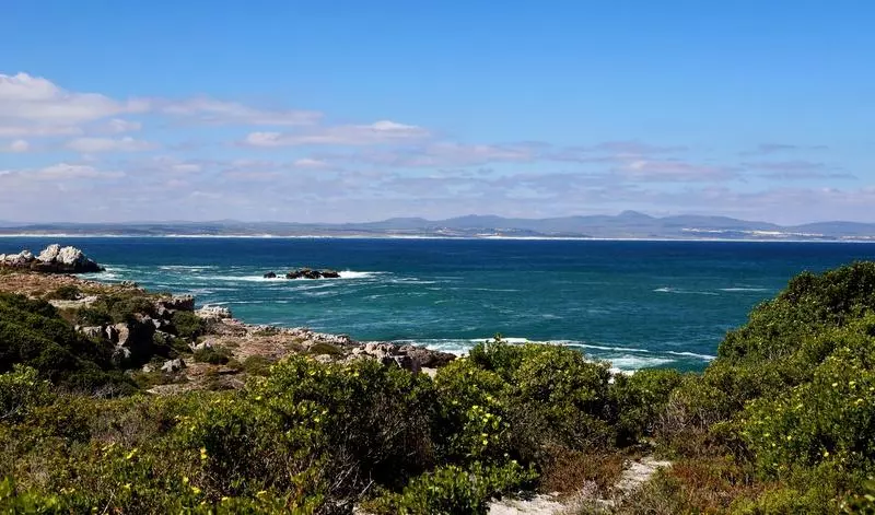 پانسیون Hermanus Boutique Guest House