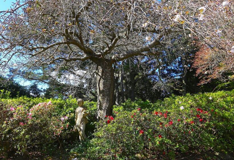 Pensão The Robertson Hotel