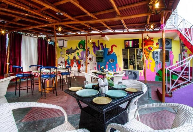 酒店 Mountain Dew Guest House