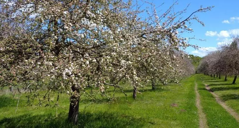 ペンション Le Verger De Kermauny