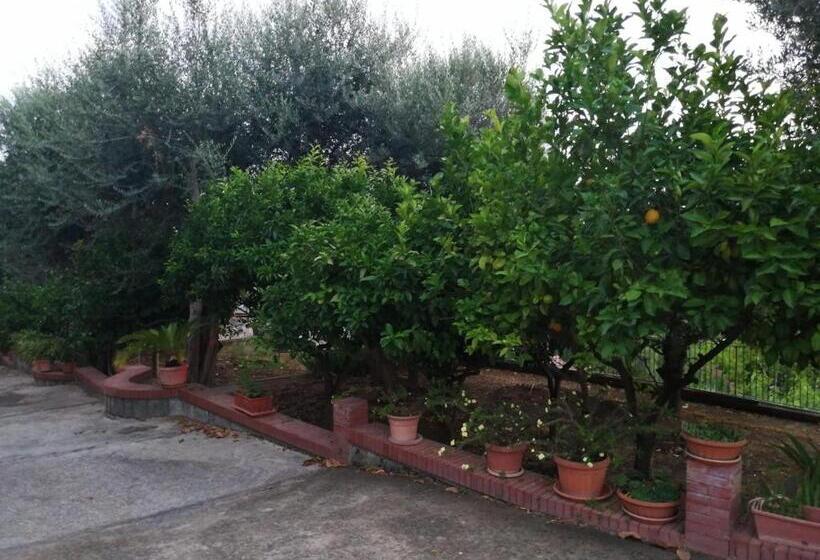 膳宿费 Villa Giannina