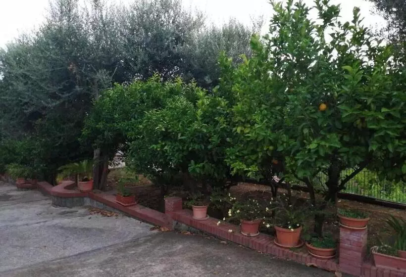 پانسیون Villa Giannina