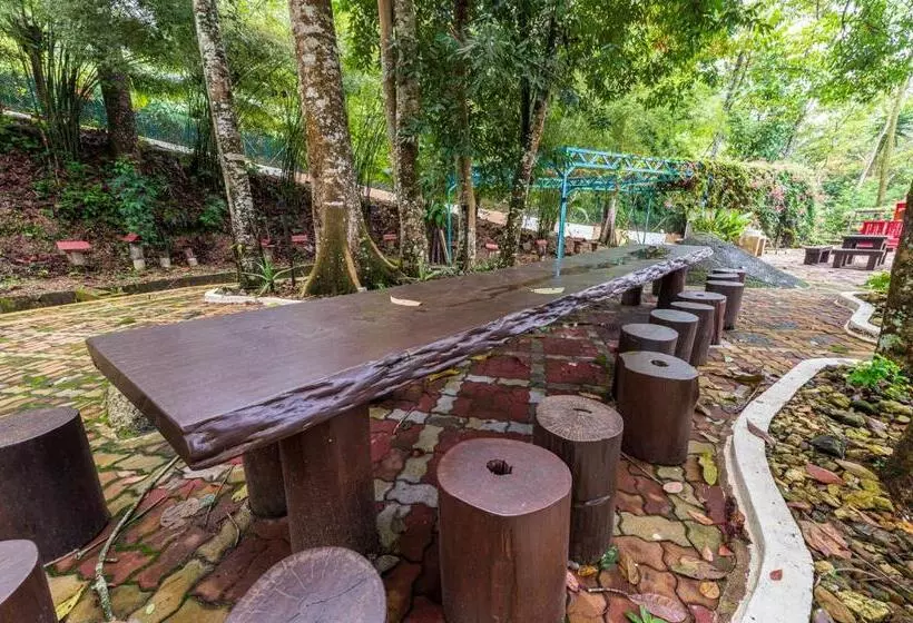 Bentong Eco Wellness Resort 14room 69pax By Verano Homestay