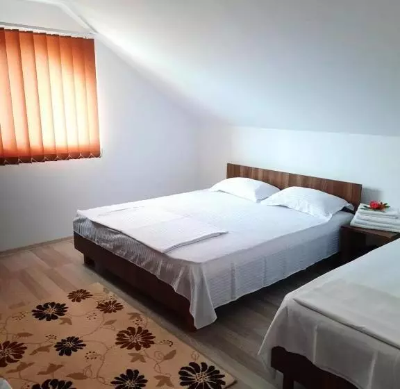 ペンション Casa Stefan Eforie Nord