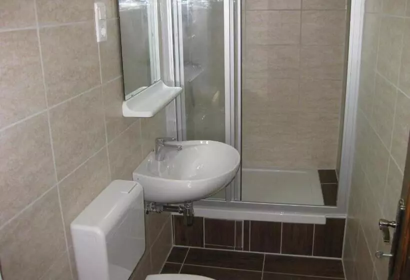 پانسیون Parti Apartman