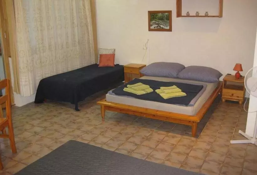 پانسیون Parti Apartman