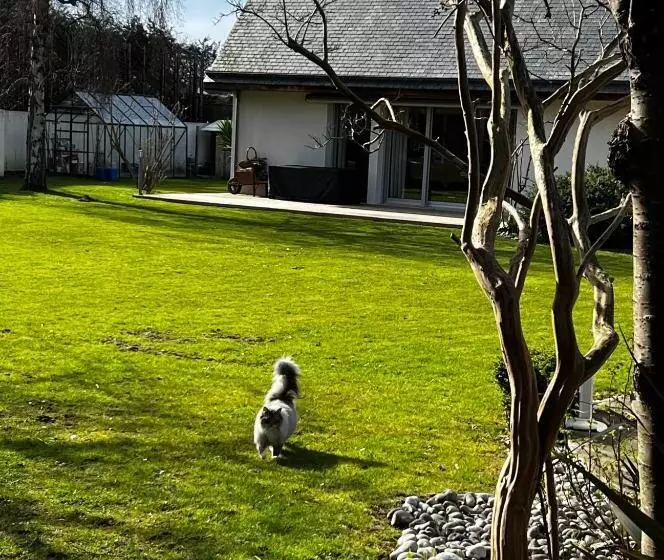 ベッドアンドブレックファースト Chambres D Hôtes Dans Une Magnifique Propriété