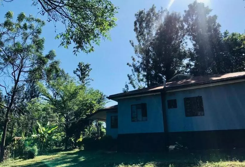 تختخواب و صبحانه Bomba Homestay