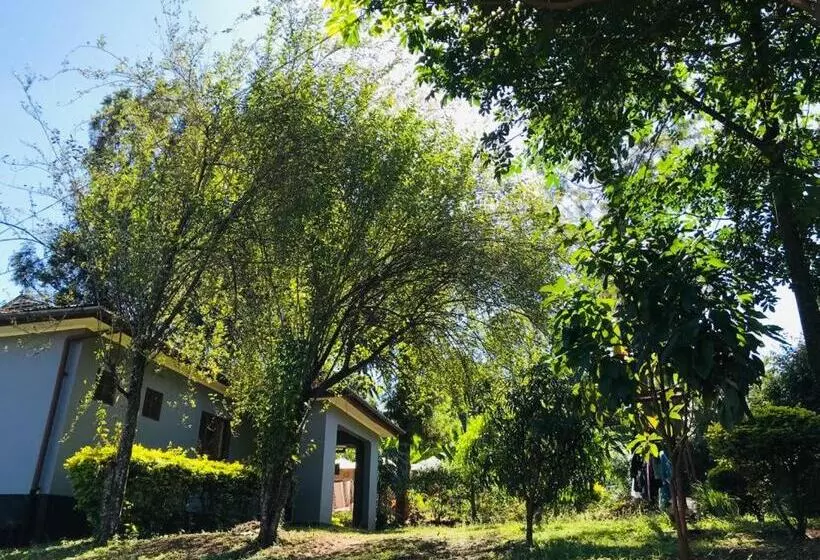 تختخواب و صبحانه Bomba Homestay
