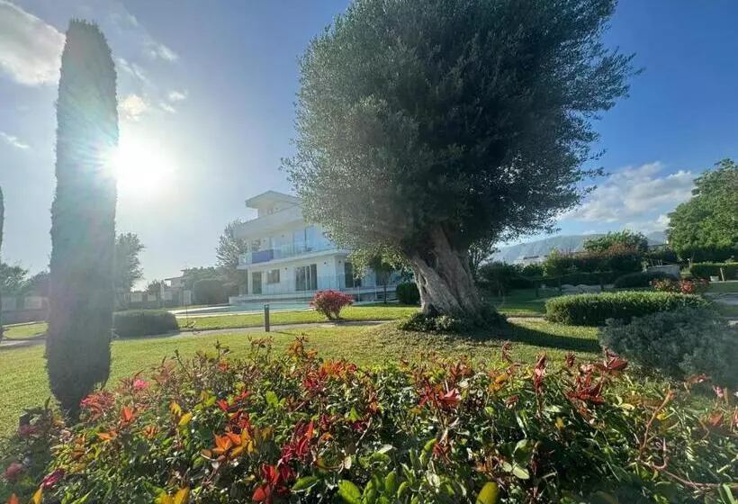 ベッドアンドブレックファースト Ohahsi