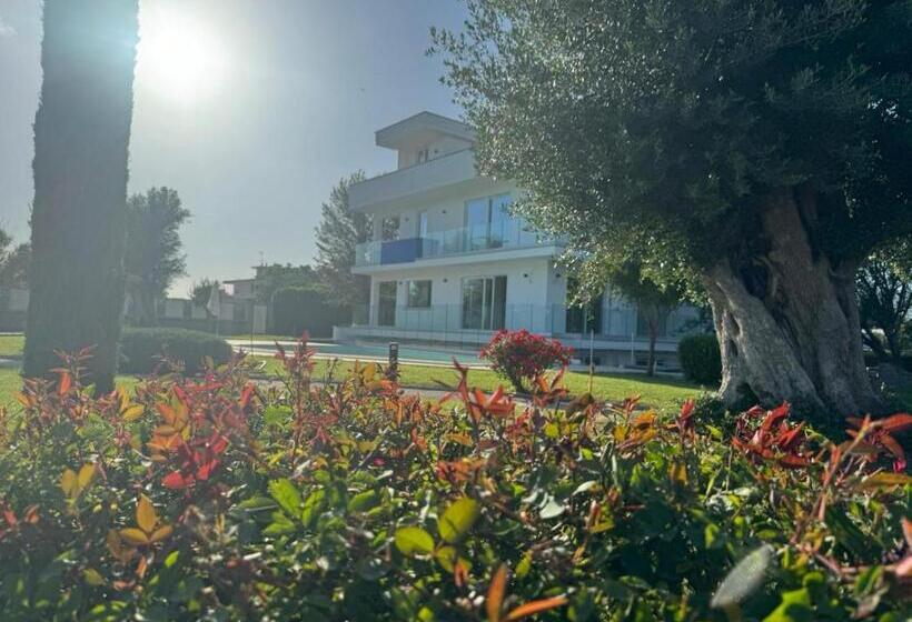 مبيت وإفطار Ohahsi