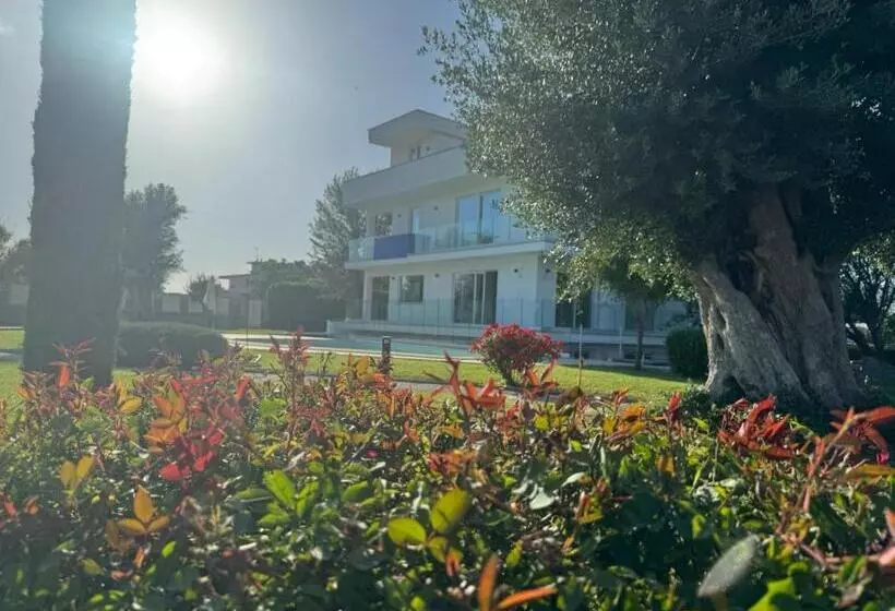 ベッドアンドブレックファースト Ohahsi