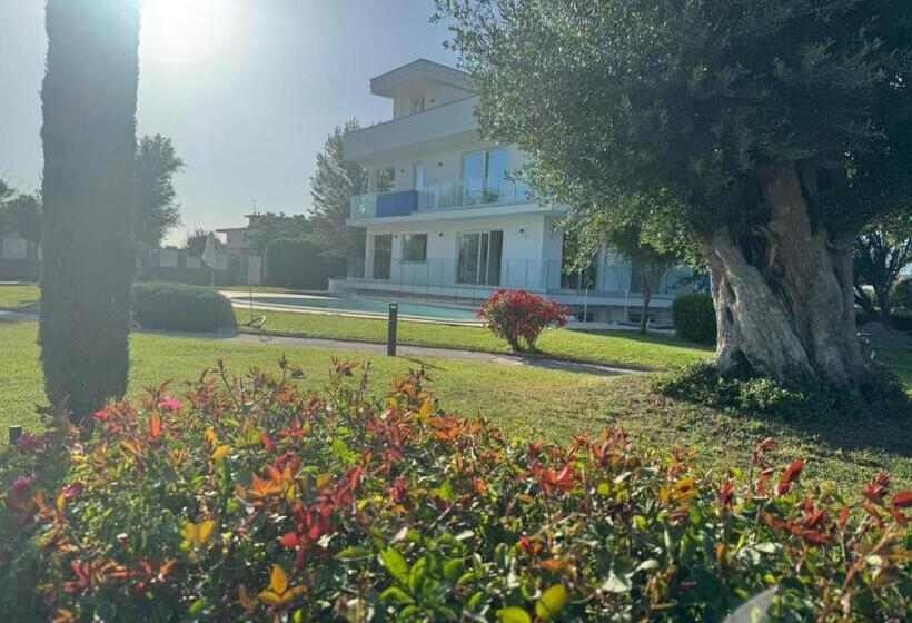 مبيت وإفطار Ohahsi