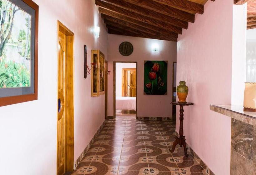 Отель Los Caballeros