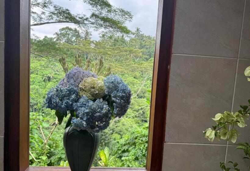 Pensió Celagi Studio Villa