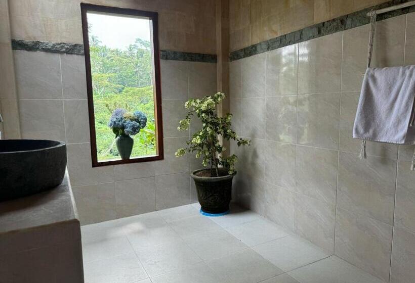 Pensió Celagi Studio Villa