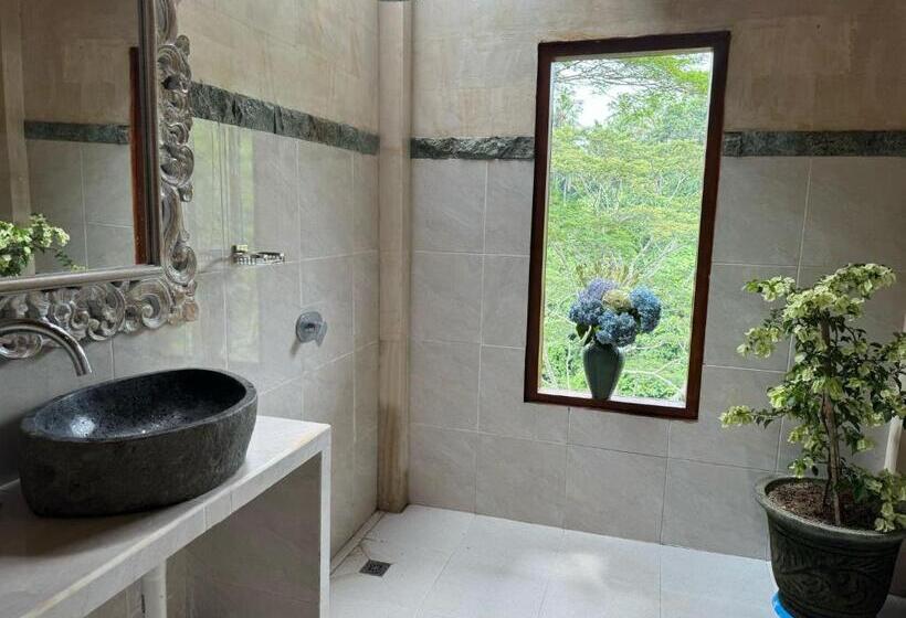 Pensió Celagi Studio Villa