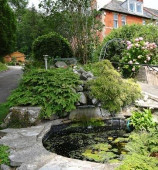 تختخواب و صبحانه Phoenix Rise Retreat