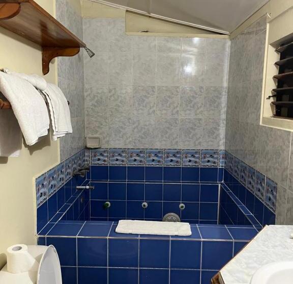 پانسیون Andre S Guest House