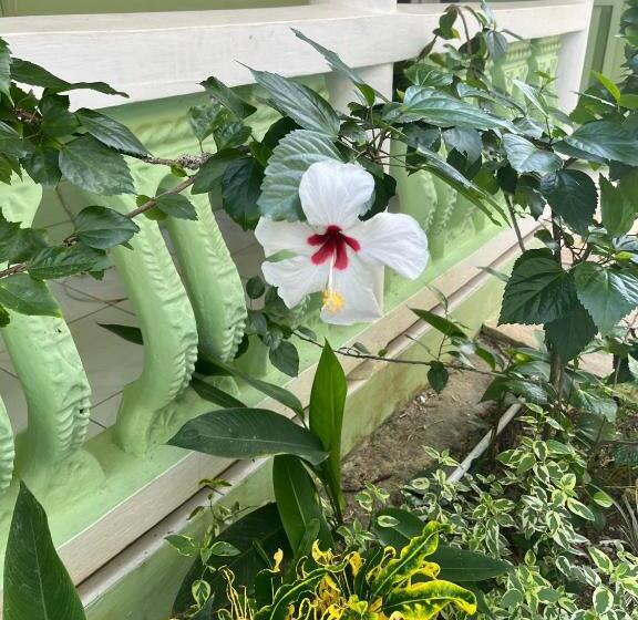 پانسیون Andre S Guest House