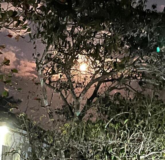 پانسیون Andre S Guest House