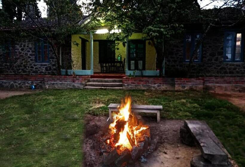 Pensão The Afton Bungalow