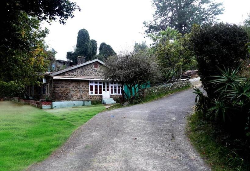 Pensão The Afton Bungalow