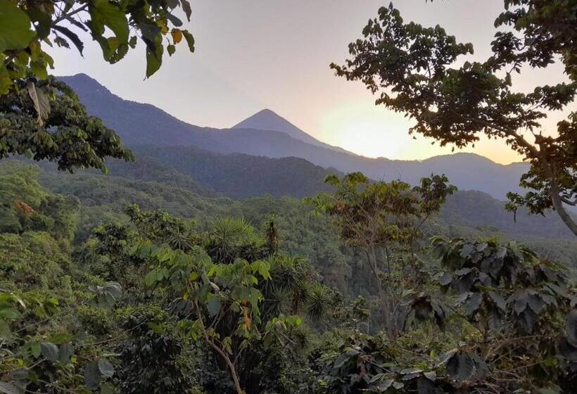 هتل Trópica Reserve