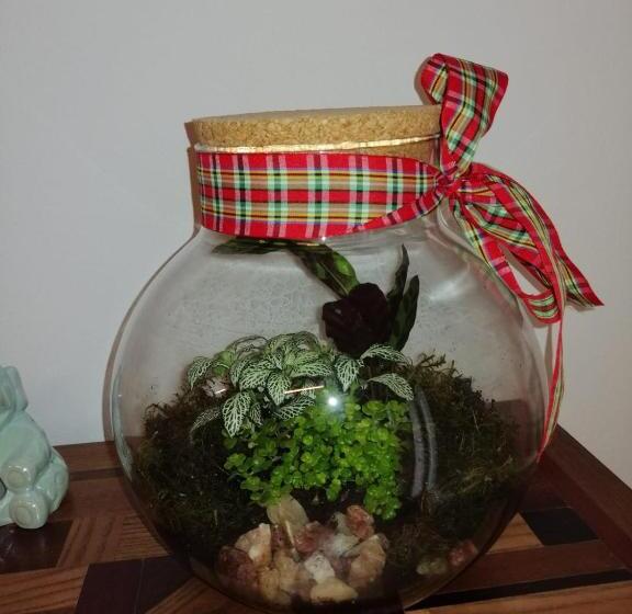 B&b Dogana Appartamento