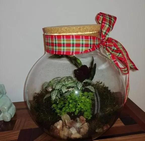 B&b Dogana Appartamento