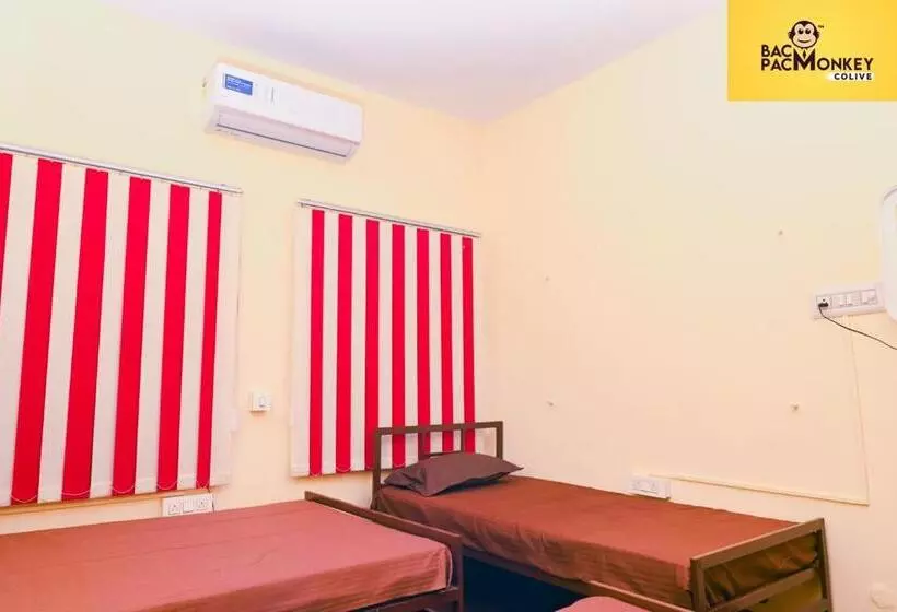 Aamiaismajoitus (B&B) Wanderwells