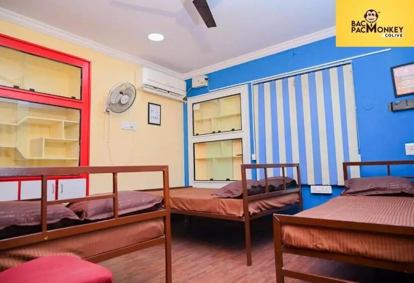 Aamiaismajoitus (B&B) Wanderwells