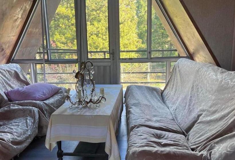 پانسیون Homely House For You