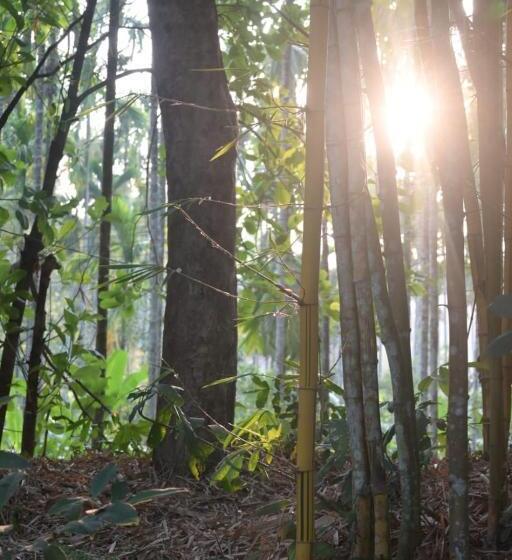 膳宿费 The Camptime Forest Stay