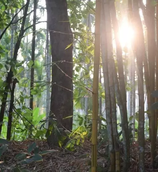 ペンション The Camptime Forest Stay